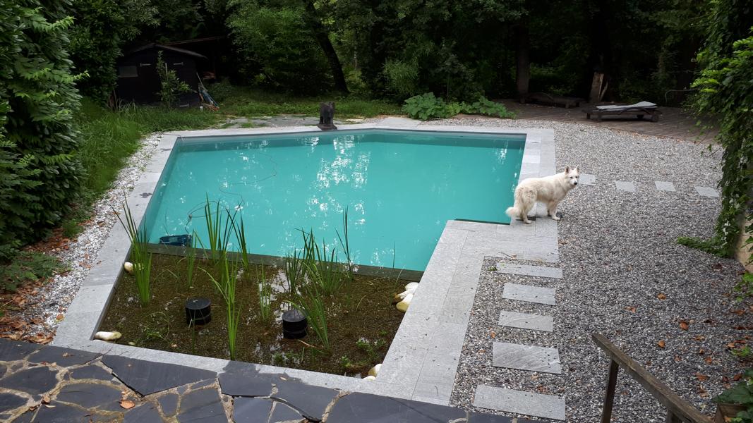 Pool umbauen